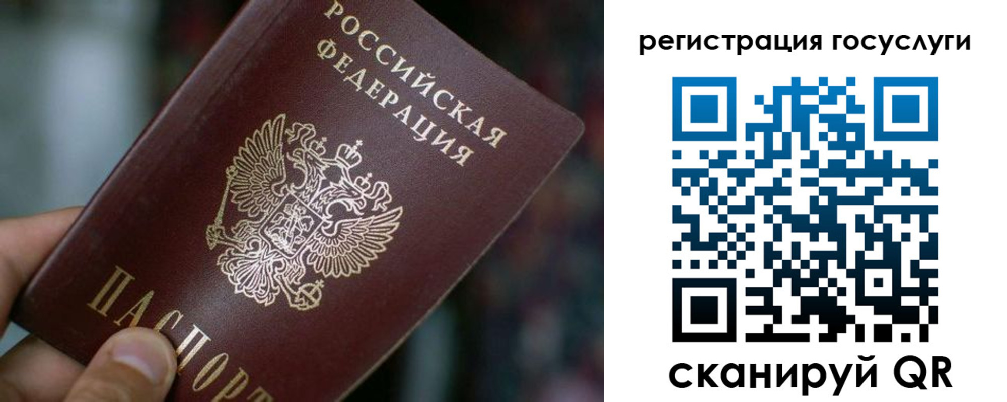 временная прописка в Пересвете